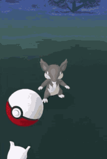 Rattata Pokemon GIF - Rattata Pokemon Po Go GIFs