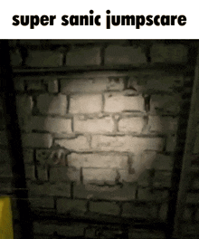 a picture of a brick wall with the caption super sanic jumpscare