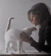 a woman petting a white cat on a table in front of a white wall