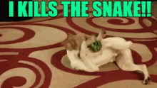 Kill Snake GIF - Kill Snake Dog GIFs