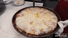 a pizza in a pan that says made in animotica on the bottom