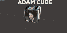 Owl City Lol GIF - Owl City Lol Adam Cube GIFs