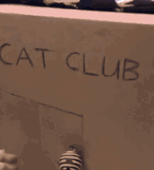 Club Nya Cat Club GIF - Club Nya Cat Club Cat Party GIFs