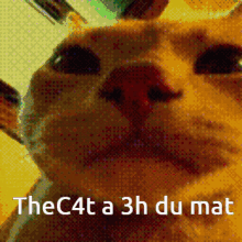 Thec4t A3h Du Mat GIF - Thec4t A3h Du Mat GIFs