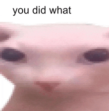 a pixelated image of a person 's face with the words " you did what " above it