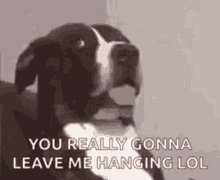 You Gonna Leave Me Hanging GIF - You Gonna Leave Me Hanging GIFs