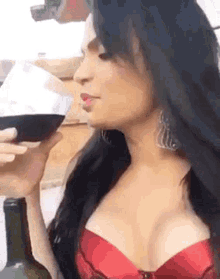 cabernet bianka enjoada fina ryca vinho drinking wine