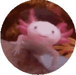 Axolotl Smile Sticker - Axolotl Smile Happy Stickers