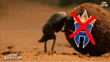 an advertisement for hidden kingdoms shows a bug pushing a rock