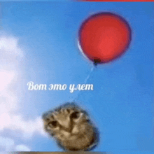 a cat is holding a red balloon in the air with the words bom это улет written on it .