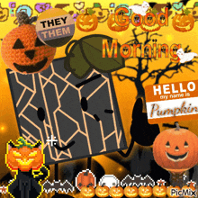 a picture of a pumpkin with a sign that says they them