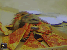 Monster Creature GIF - Monster Creature Pizza Monster GIFs