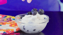 Topping Blueberry GIF - Topping Blueberry Ice Cream GIFs