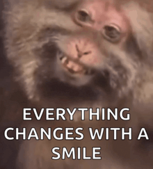 a picture of a monkey with the words everything changes with a smile below it