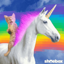 Cat Horse Riding GIF - Cat Horse Riding Unicorn GIFs