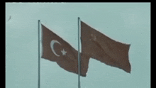 Soviet And Turkey Friennd GIF - Soviet And Turkey Friennd GIFs