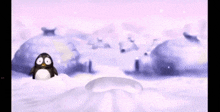 a penguin is standing in the snow in front of a snowy igloo