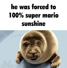 Mario Sunshine GIF - Mario Sunshine Walrus GIFs