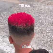 Gavin Gavin Of Hair GIF - Gavin Gavin Of Hair Gavin Hair GIFs