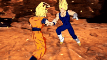 a video game where goku and vegeta fight each other