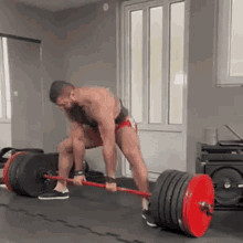 Lazar Belosevic Powerlifting GIF