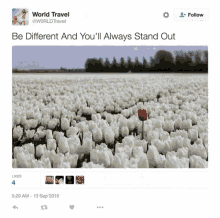 Be Different GIF - Be Different GIFs