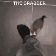 The Grabber GIF - The Grabber GIFs