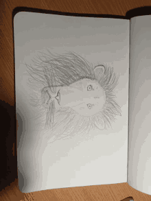 a drawing of a lion 's head is on a piece of paper on a table