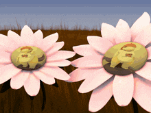 Pipca Flower GIF - Pipca Flower GIFs