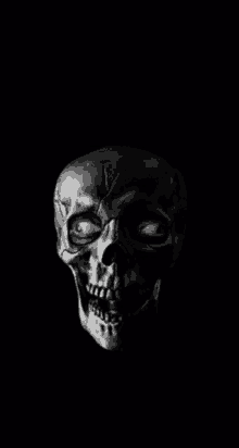 Skull Face GIF - Skull Face GIFs