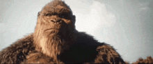 Kong Godzilla X Kong The New Empire GIF - Kong Godzilla X Kong The New Empire Smirk GIFs
