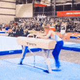 Dominic Allaire Gymnastique GIF - Dominic Allaire Gymnastique Gymnastics GIFs
