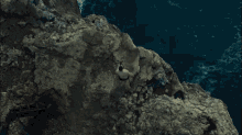 a man sits on a rock near the ocean