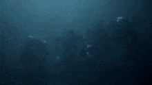 Swimming Seal Team GIF - Swimming Seal Team Diving GIFs