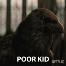 Poor Kid Matthew The Raven GIF - Poor Kid Matthew The Raven The Sandman GIFs
