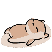 mimochai cute tired hamster tired kill me now