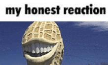 Honest Reaction Peanut GIF - Honest Reaction Honest Peanut GIFs