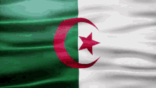 Algeria Flag Gif GIF - Algeria Flag Gif Africa GIFs