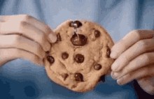 Cookie Half GIF - Cookie Half Chocolate GIFs