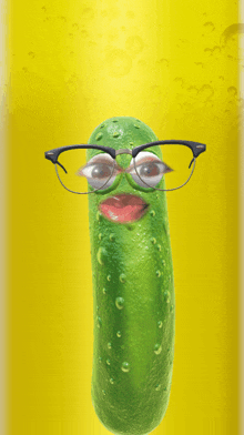 Kam Pickle GIF