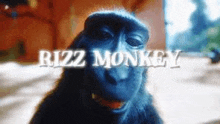 a close up of a monkey 's face with the words rizz monkey written above it .