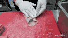 a red cutting board has the words made in animatica on it