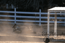 a picture of a horse rolling in the dirt with eden photography