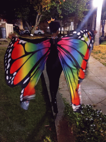 Butterfly halloween Costume
