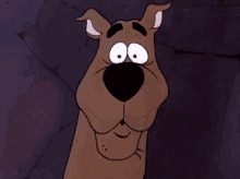 scooby doo rohruh ruhroh shocked scared