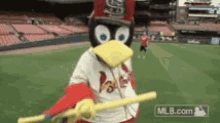 baseball fredbird