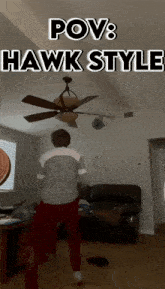 Hawk GIF - Hawk GIFs