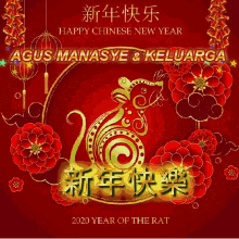 agus manasye happy chinese new year fireworks flowers year of the rat2020