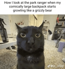 a black cat looking at the camera with the caption how i look at the park ranger when my comically large backpack starts growling