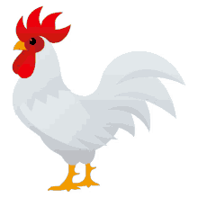 rooster bird